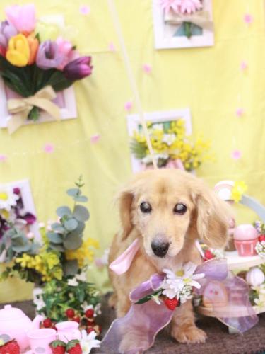 20230315バナナちゃん